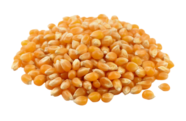 Maiz palomero bolsa 250 gr