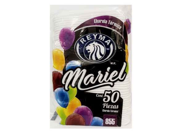 Plato termico grande reyma 855